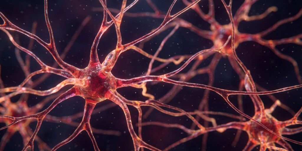 Early maternal touch may encourage sympathy and helping behaviors in adolescence