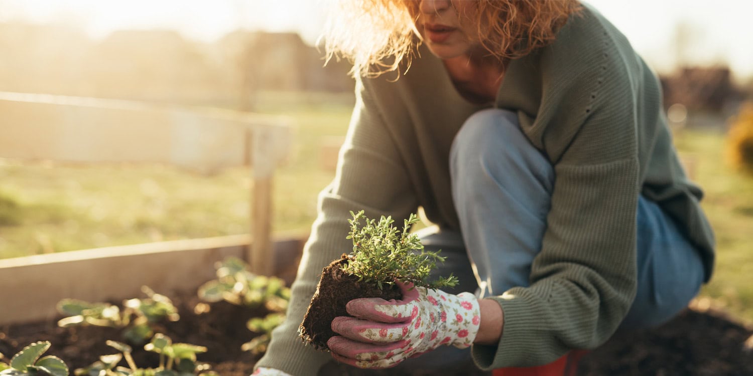 Uma nova pesquisa relaciona hábitos diários de jardinagem com a redução da ansiedade e das limitações físicas