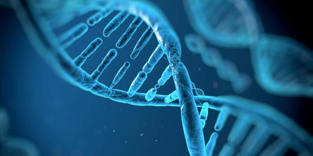 Genetic analysis reveals shared biology between testosterone and depression